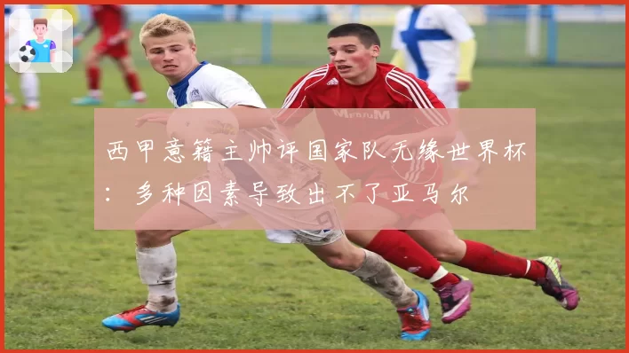 西甲意籍主帅评国家队无缘世界杯:多种因素导致出不了亚马尔