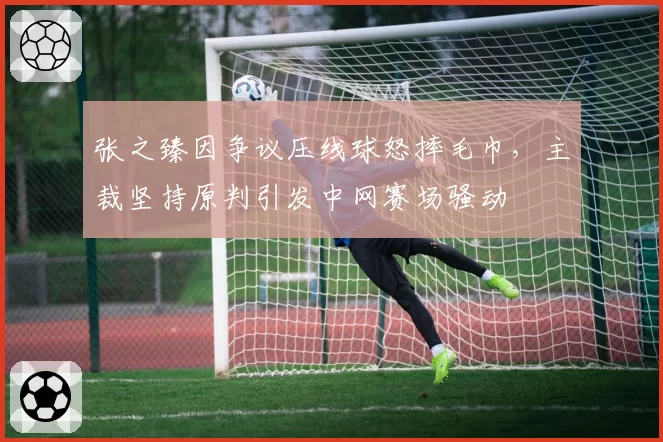 张之臻因争议压线球怒摔毛巾，主裁坚持原判引发中网赛场骚动