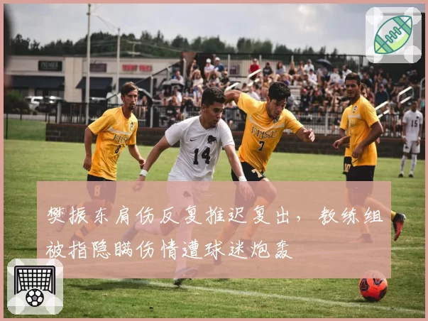 樊振东肩伤反复推迟复出,教练组被指隐瞒伤情遭球迷炮轰